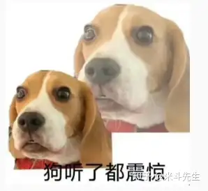 我的世界，真的是我说了算吗？